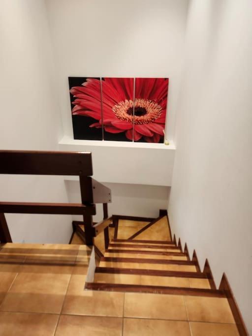 Duplex Rua Sol - Netflix Apartment Laxe Exterior photo